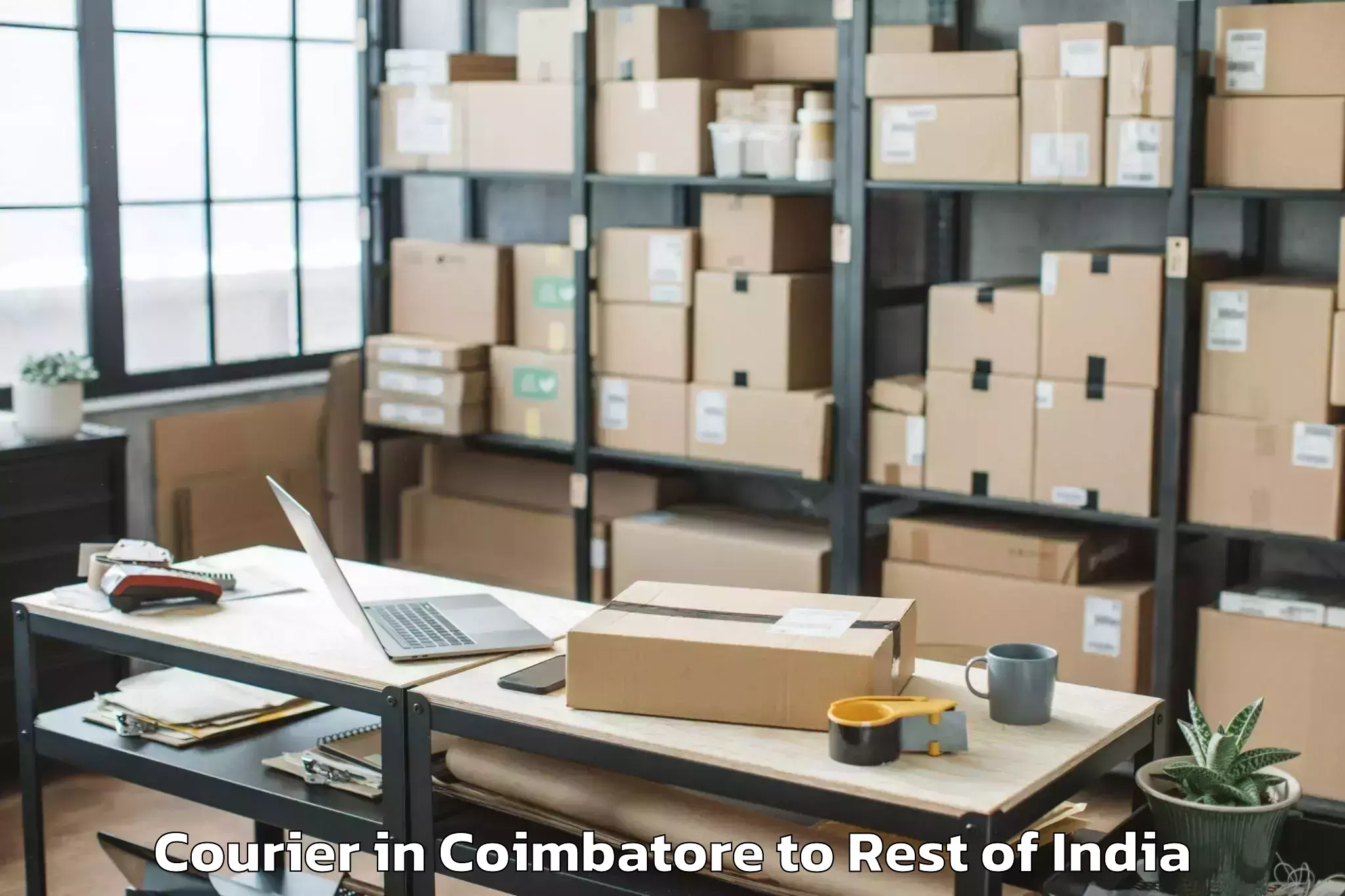 Reliable Coimbatore to Thallada Courier